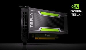 Nvidia Tesla T4 et Nvidia Tesla P4